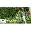 BOSCH 06008C1H01 EasyGrassCut 23 Szegélyvágó