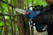 BOSCH 06008D7000 GKE 18V-15 Akkus Ágfűrész (akku és töltő nélkül)