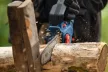 BOSCH 06008D7100 GKE 18V-20 Akkus Ágfűrész (akku és töltő nélkül)