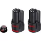 BOSCH 1600A00X7D 2 x GBA 12V 3.0Ah Akkumulátor