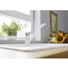 BLANCO WEGA II antracit / króm HD